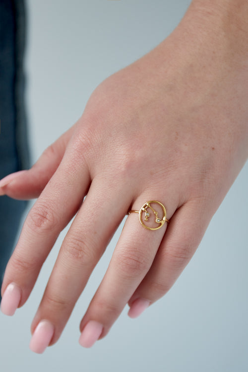 12 Zodiac-ringen