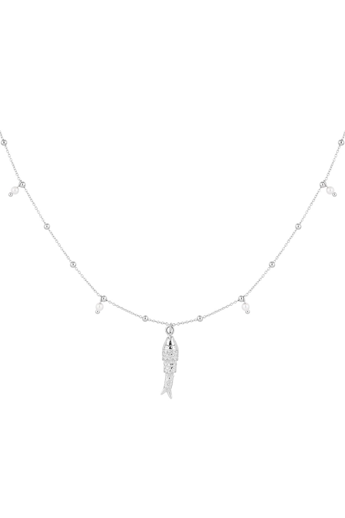 Basis Ketting Met Vis