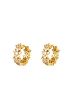 Ster Strass Hoepel Oorbellen