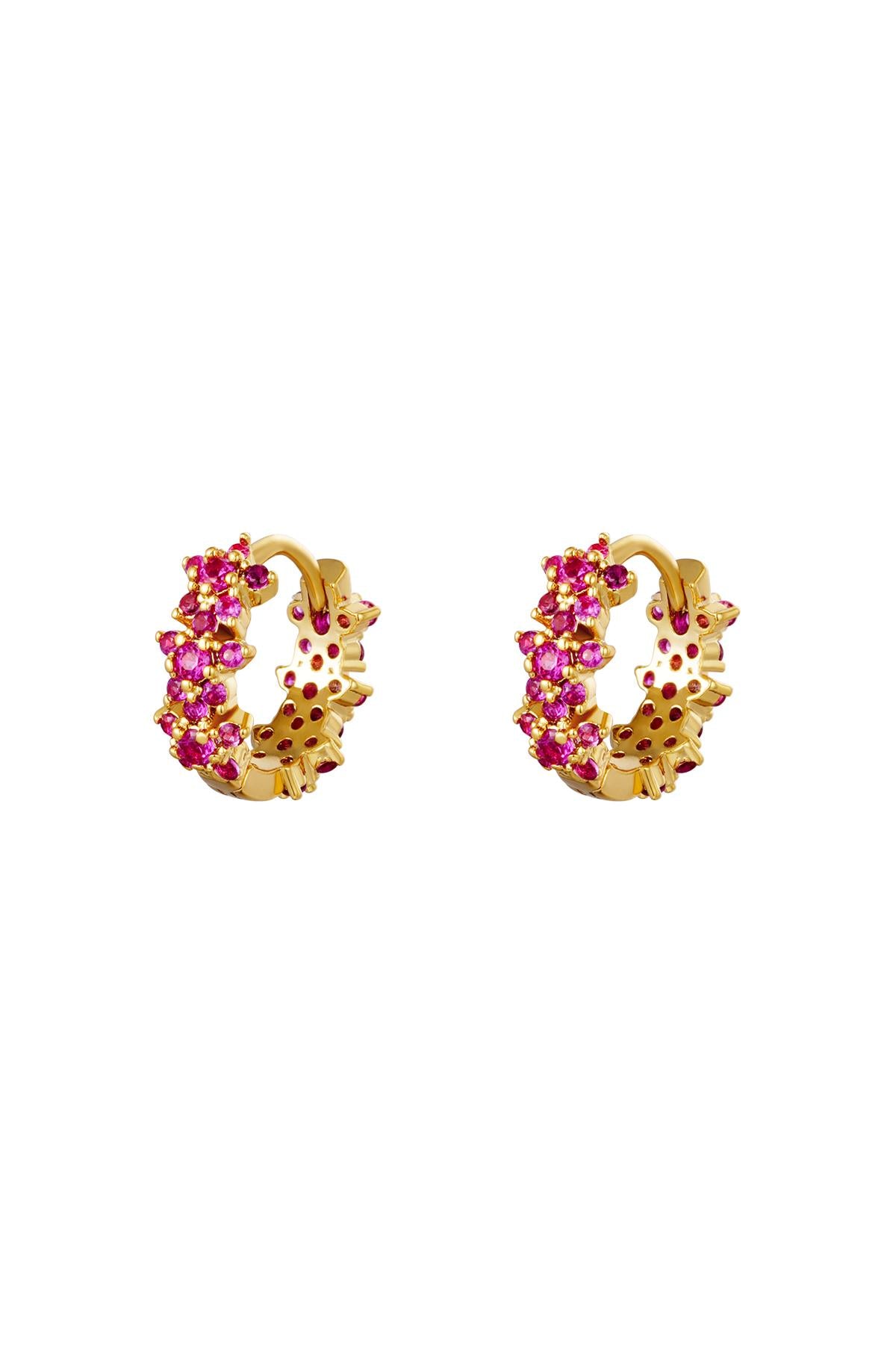 Ster Strass Hoepel Oorbellen