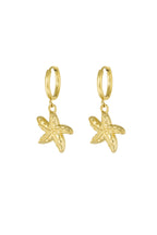 Oorbellen Special Starfish