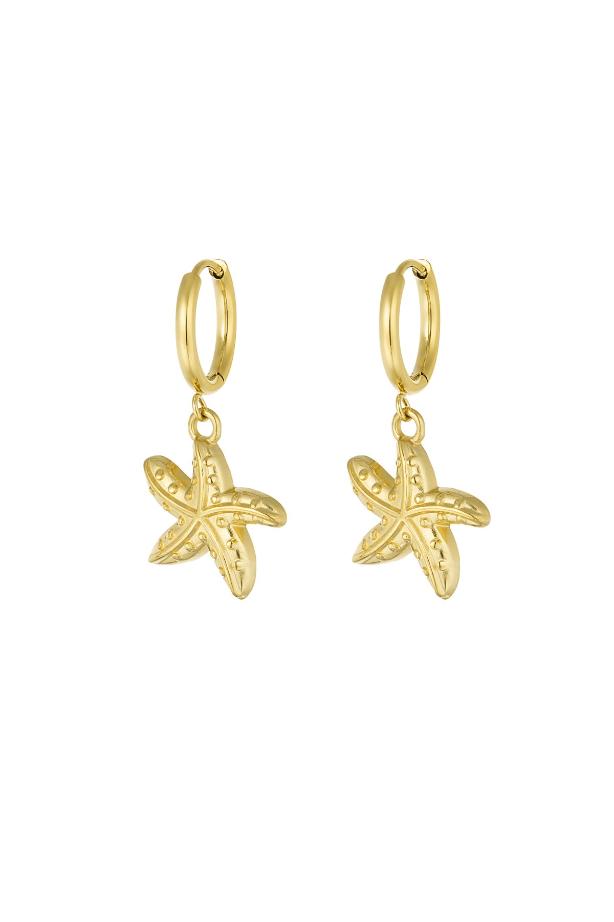 Oorbellen Special Starfish