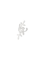 Ear Cuff Plant