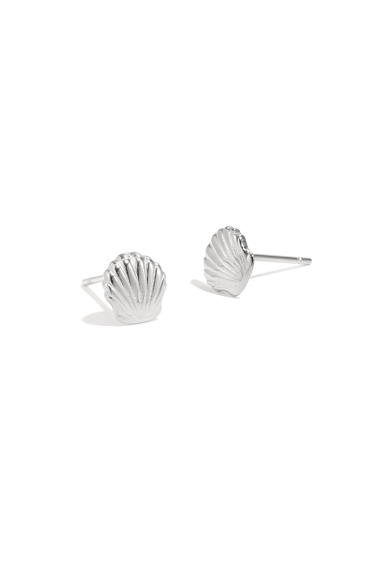 Schelp Oorstekers 