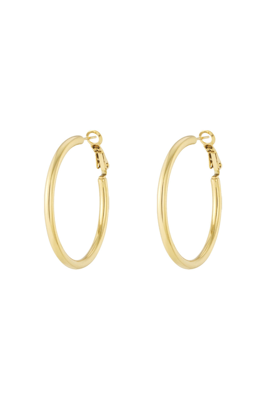 Elegantie en veelzijdigheid Oorbellen