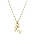 Elegante Hart Hanger Ketting