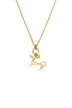 Elegante Hart Hanger Ketting