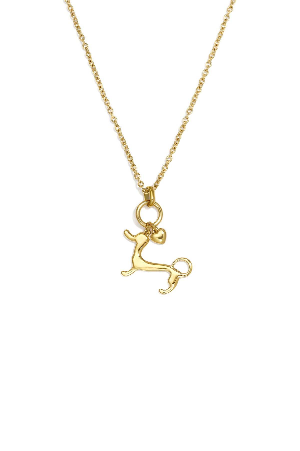 Elegante Hart Hanger Ketting