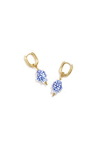 Squoval Oorbellen Met Geruite Vis Charm