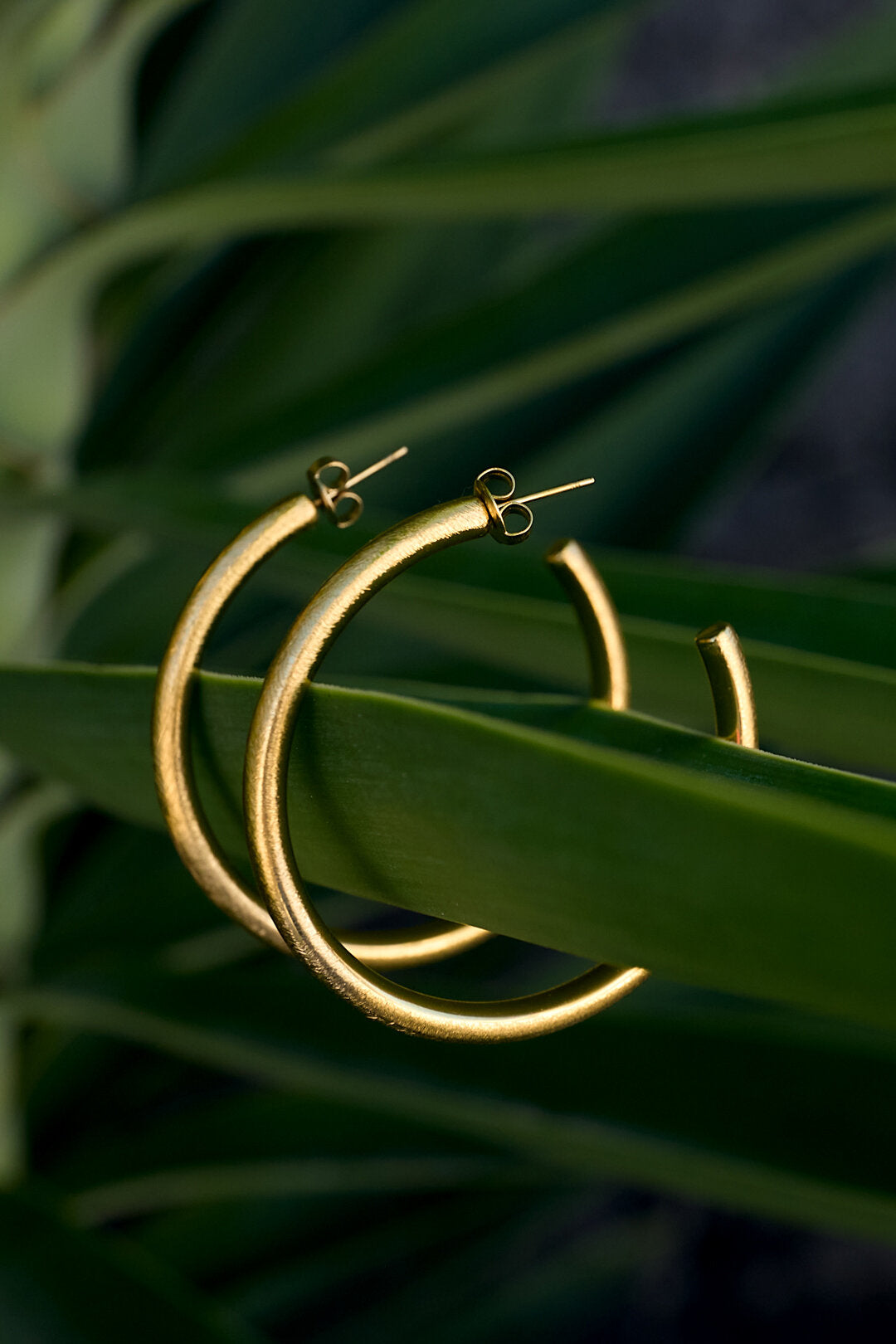 Elegante Cirkelvormige Oorringen