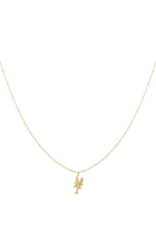 Hangerkettingen Animal 