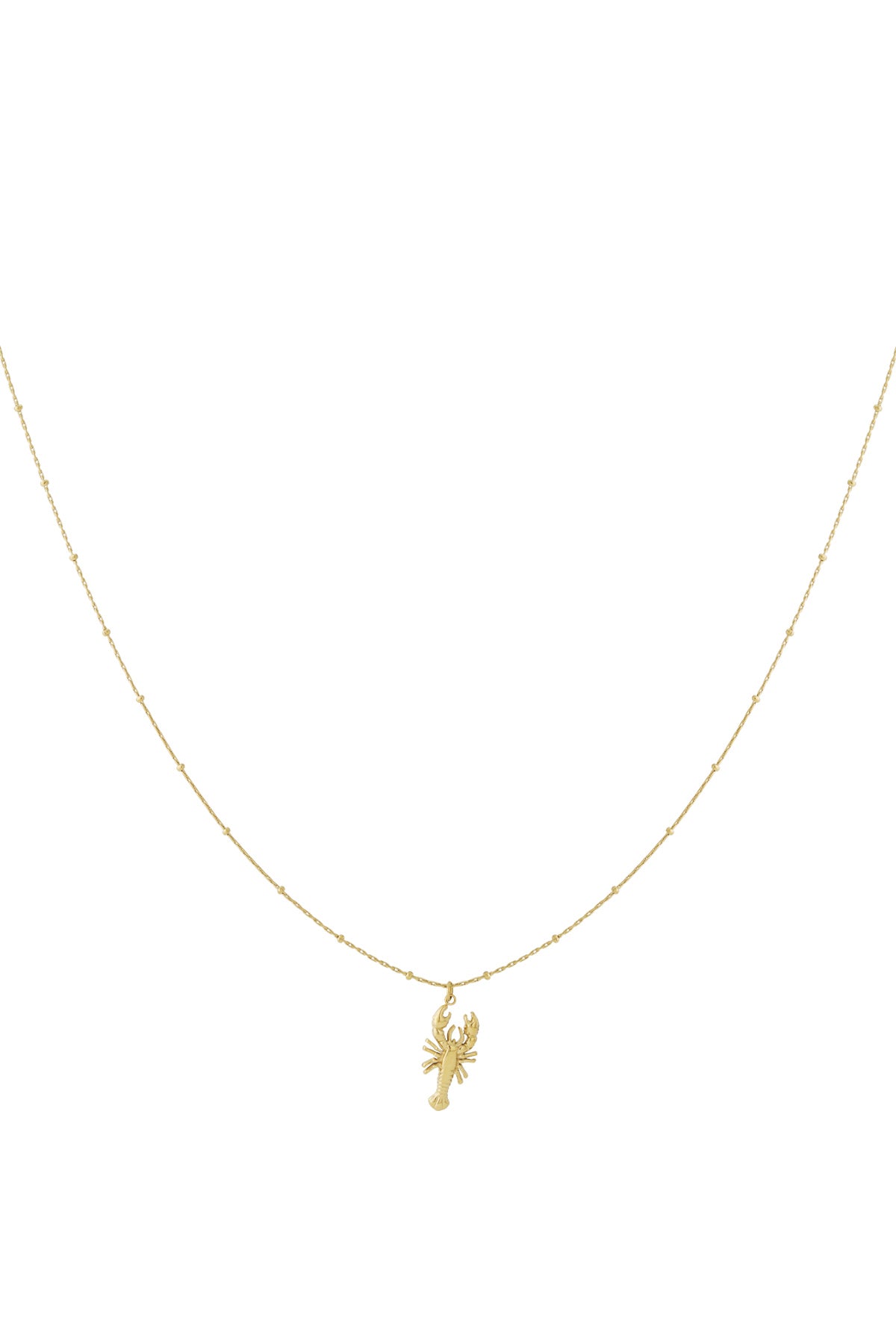 Hangerkettingen Animal 
