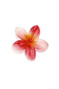 Haarclip Hawaii Bloem