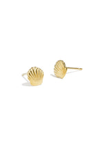 Schelp Oorstekers 