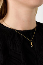 Hangerkettingen Turtle 