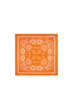 Elegante Oranje Paisley Zomer Sjaal