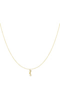Hangerkettingen Turtle 
