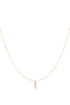Hangerkettingen Turtle 