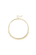 Ketting Muntjes 
