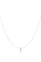 Hangerkettingen Turtle 