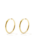 RVS Oorbellen Hoops
