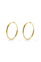 RVS Oorbellen Hoops