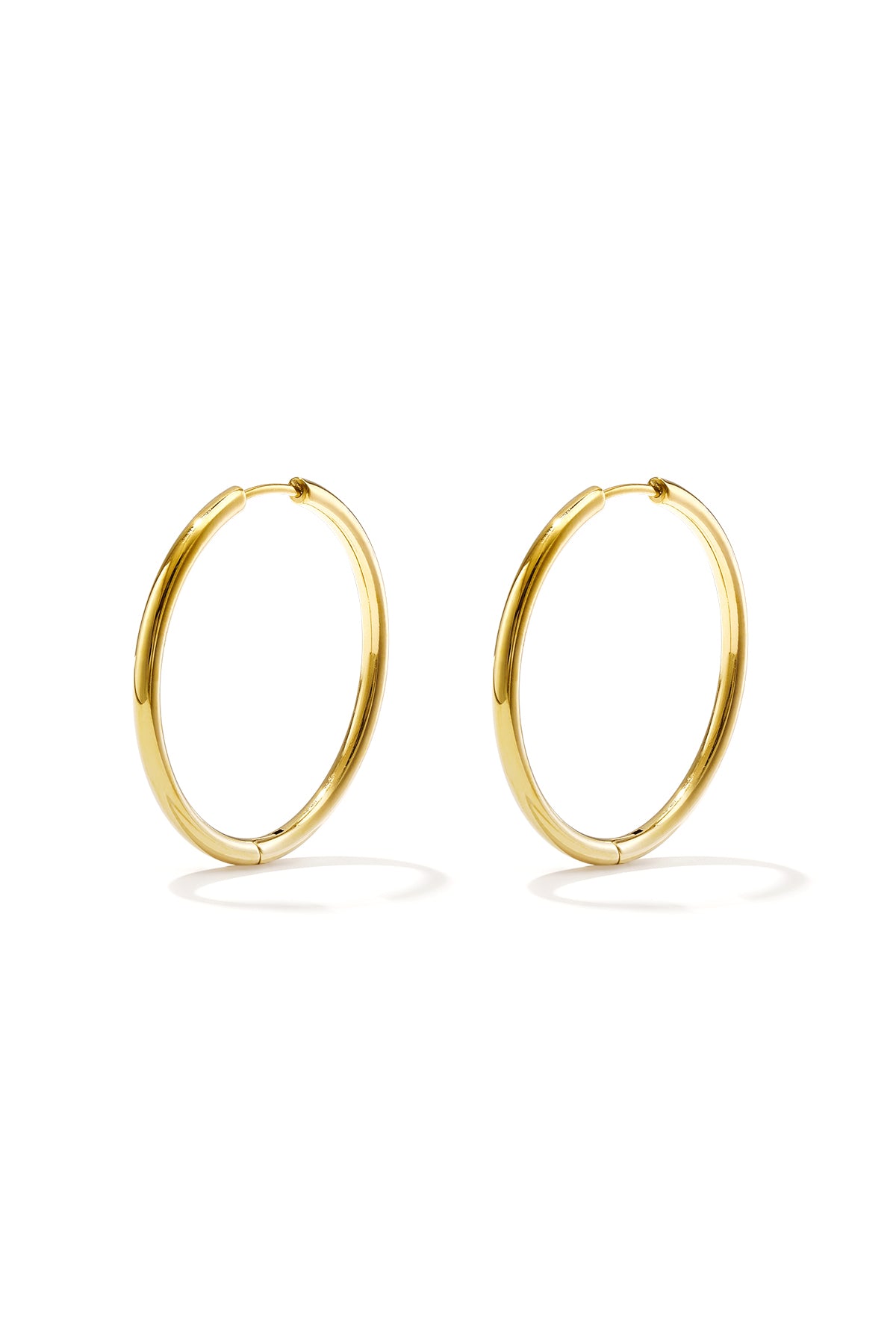 RVS Oorbellen Hoops