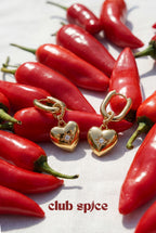 Squoval Oorbellen Met Hart Hanger En Steentje