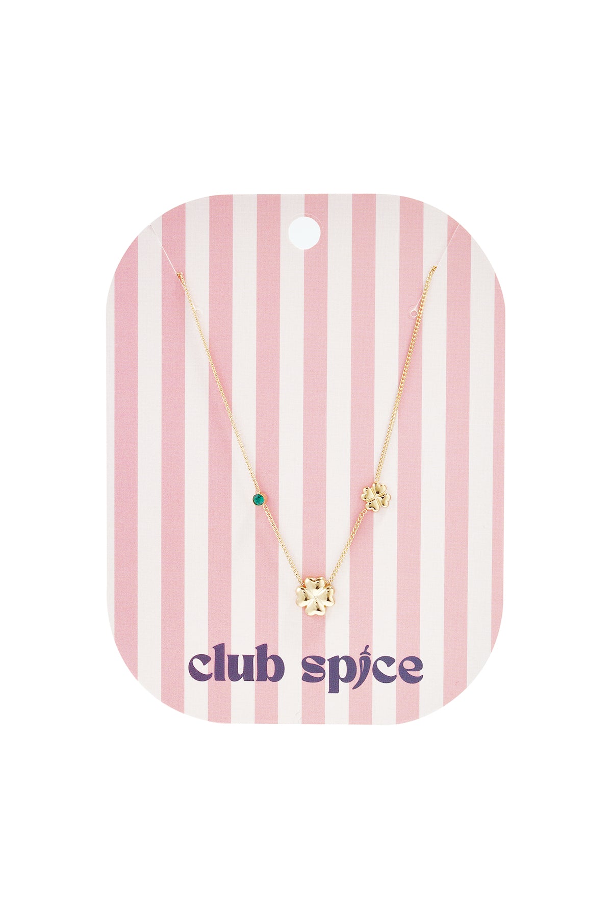 Ketting Met Klavertjes En Gekleurd Steentje