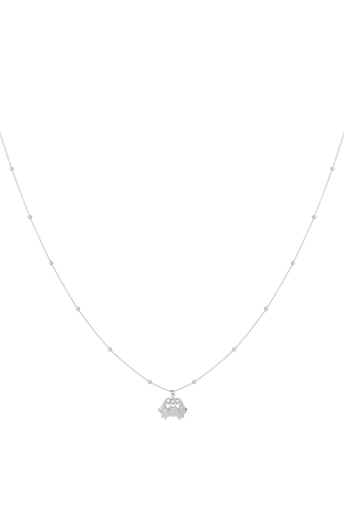 Hangerkettingen Animal 