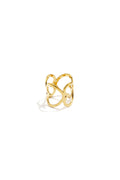 Elegante Gouden Sjaalclip