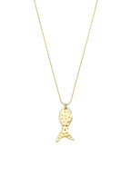 Lange Ketting Met Vismotief