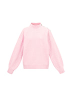 Gebreide Polyestervezel Vrouwen Trui met Schildkraag Casual Eenvoudige Kleur